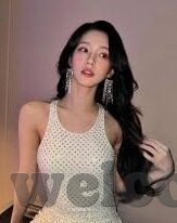 森林舞会大-森林舞会，大自然中的交响乐与生态和谐